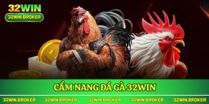 Cẩm nang đá gà