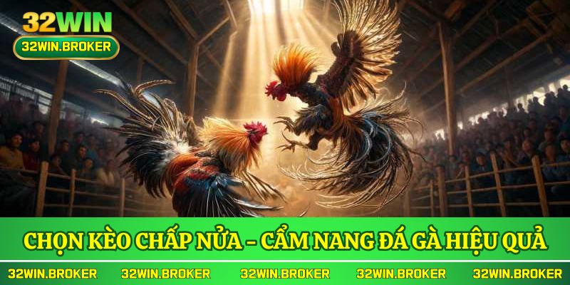 Lựa chọn kèo chấp nửa tạo nên cẩm nang đá gà hiệu quả