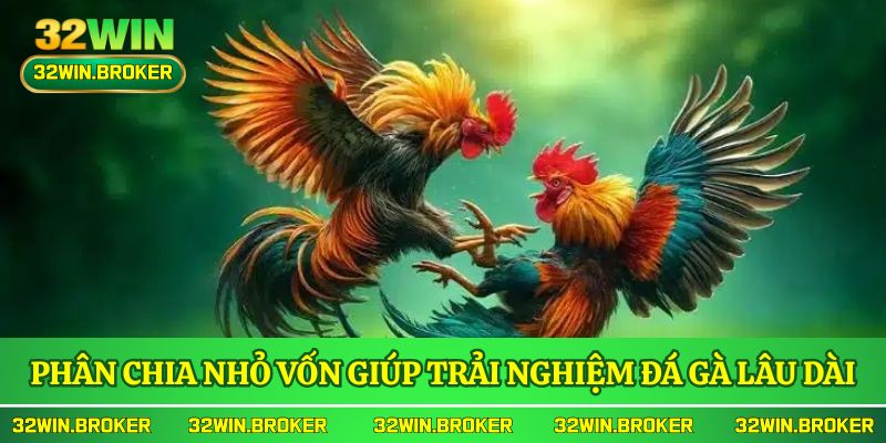 Phân chia nhỏ vốn giúp trải nghiệm đá gà lâu dài