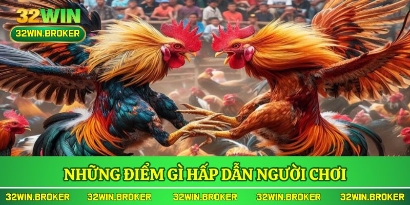 Những điểm gì hấp dẫn người chơi