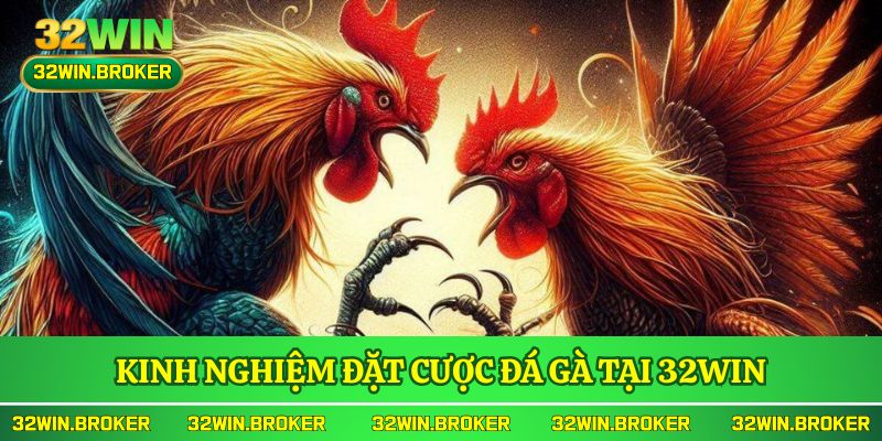 Kinh nghiệm đặt cược đá gà tại 32WIN