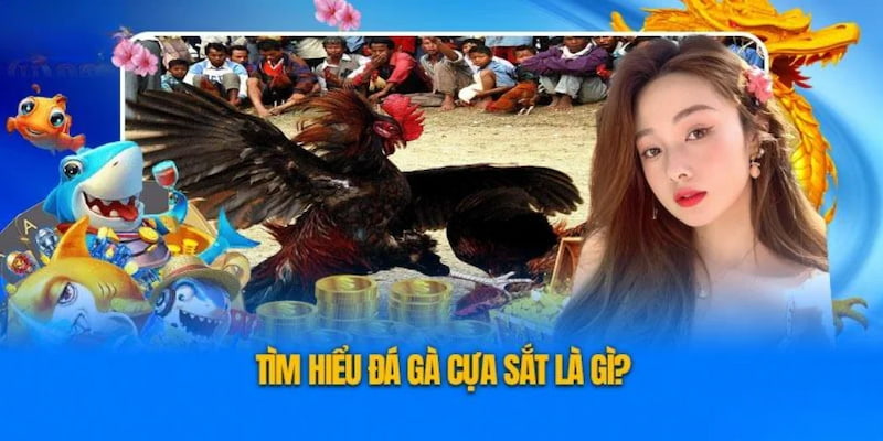 Những quy định thắng thua