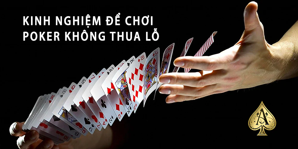 Sẵn sàng cược liều lĩnh, táo bạo